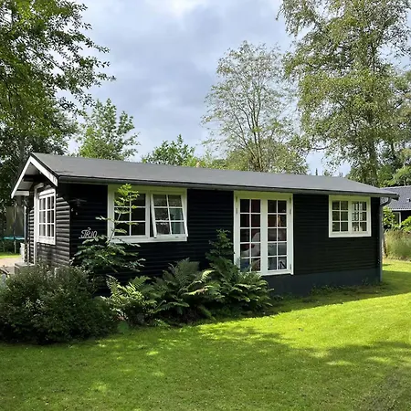Colourful Summerhouse Close To *