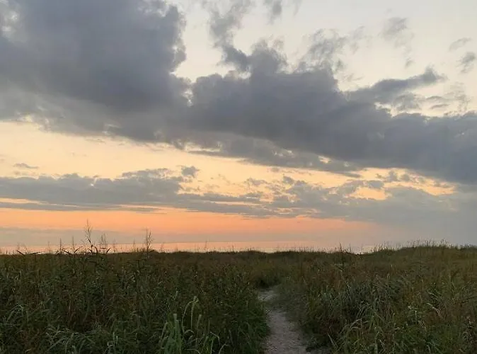 Colourful Summerhouse Close To *